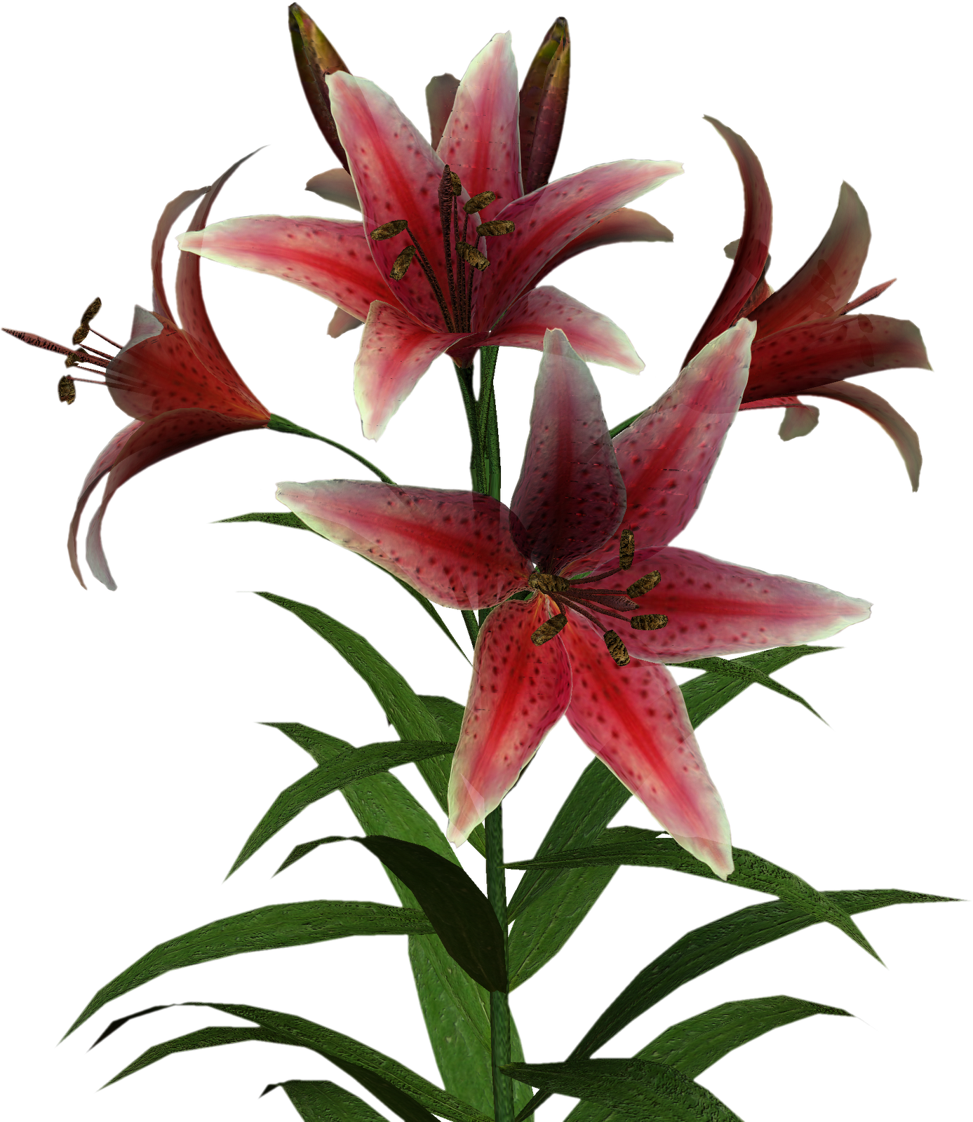 Free High Resolution Graphics And Clip Art - Clip Art (1387x1600)
