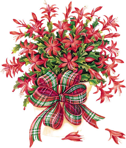 Scrap - Bouquet De Fleurs Animé (483x544)