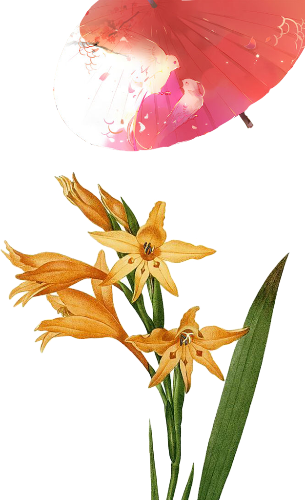 Beach Rose Flower Watercolor Painting Wallpaper - Beach Rose Flower Watercolor Painting Wallpaper (625x1024)