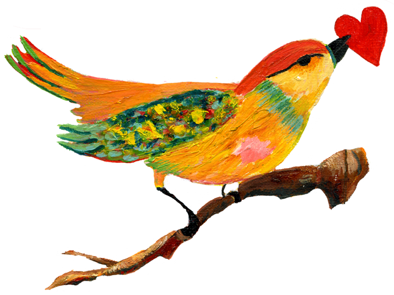 Bird Heart - Photo - Bird Heart - Photo (800x600)