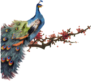 Birds And Butterflies Cherry Peacock Artwork - Marriage Ceremony Uniting Hindu (519x346)