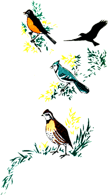 Bird Lore Puzzle Jingle - Finch (340x400)