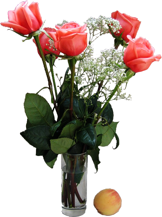 User Profile Flower - User Profile Flower (527x705)