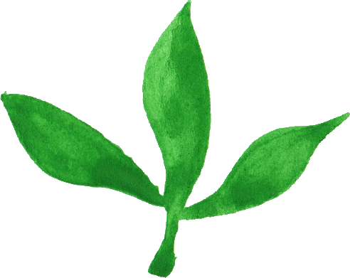 Free Download - Illustration (492x391)