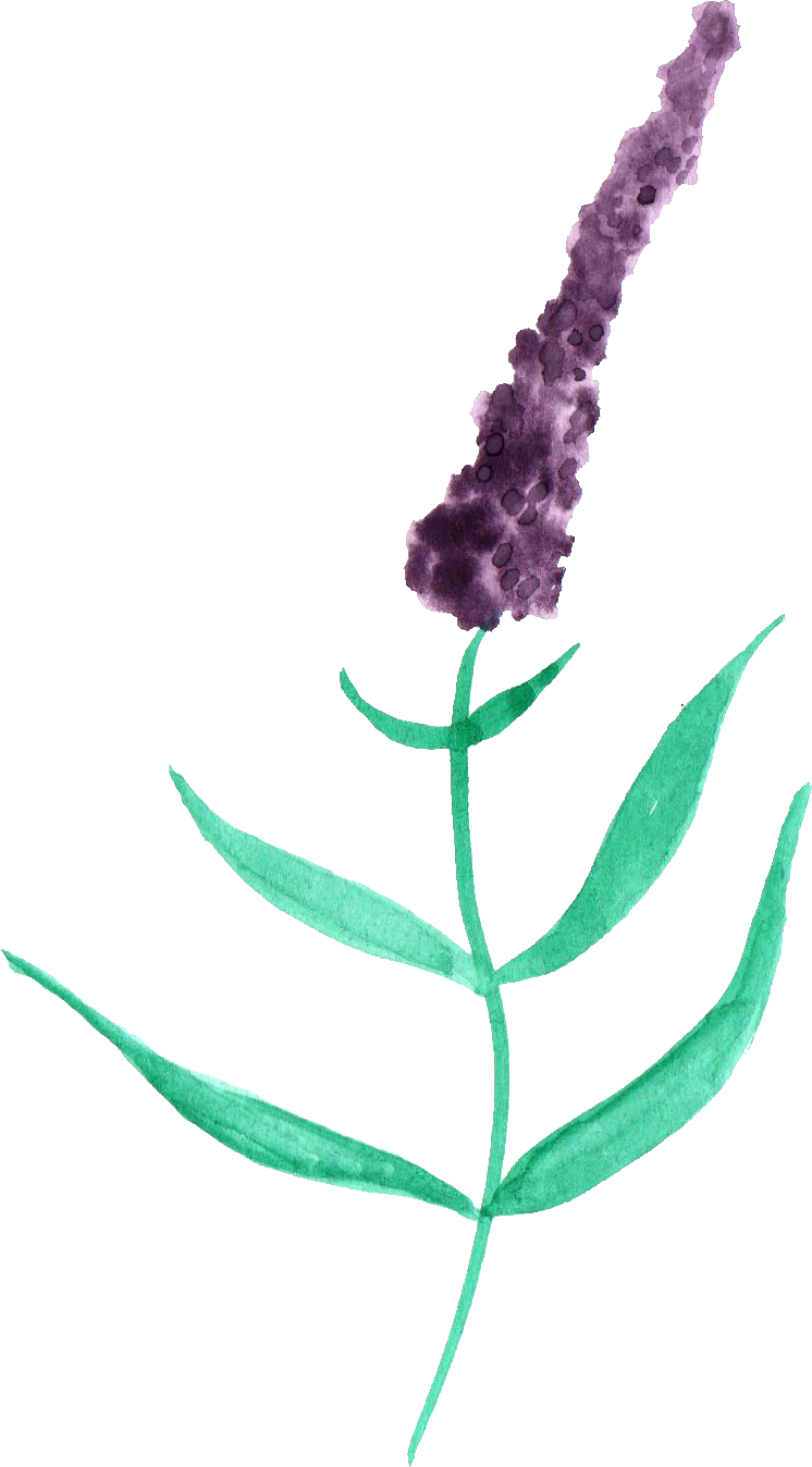 Free Download - Transparency (746x1348)