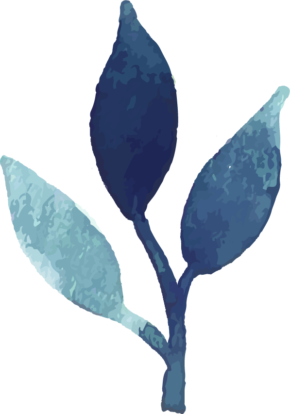 Watercolour Flowers Watercolor Painting - Watercolor Painting (597x853)