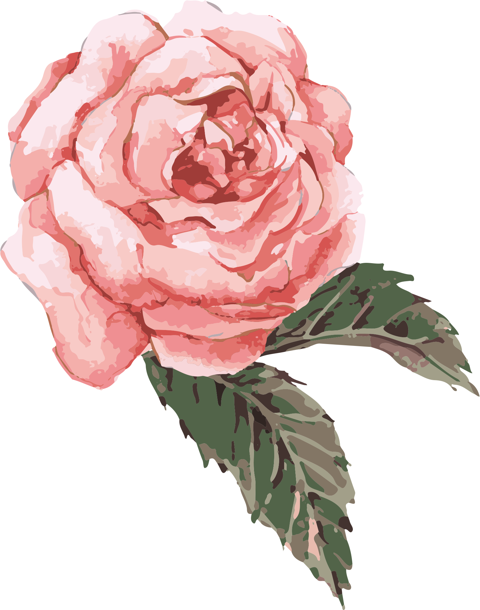 Flower Watercolor Painting Clip Art - Pink Watercolor Rose Png (3000x2494)