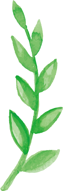 Flower Branch Watercolor Painting Royalty Free Illustration - Flower Branch Watercolor Painting Royalty Free Illustration (800x800)