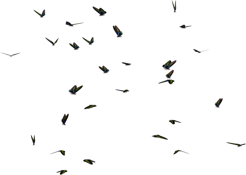Butterfly Swarm 04 Png Stock By Roy3d - Portable Network Graphics (1024x768)
