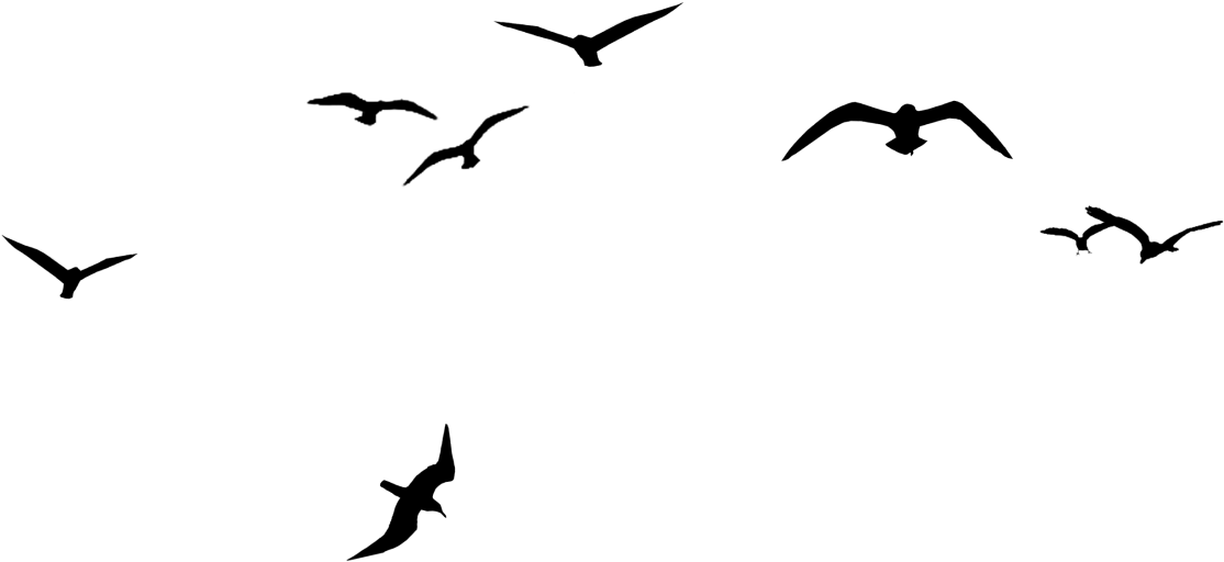 Bird Flock V Formation Clip Art - ياشين يومن يمر من دون (1280x636)