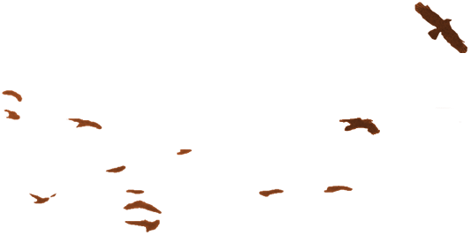 State Of Decay 2 Png (533x267)