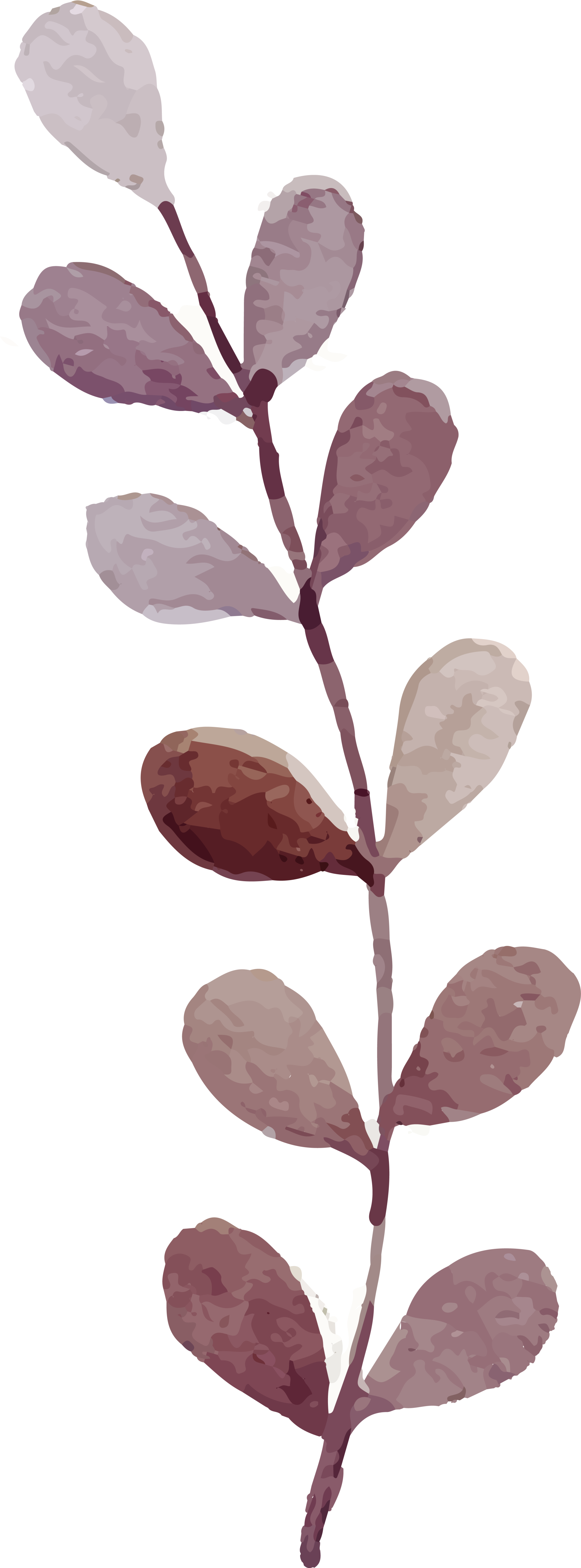 Flowers Watercolor Painting - Flowers Watercolor Painting (2000x5395)