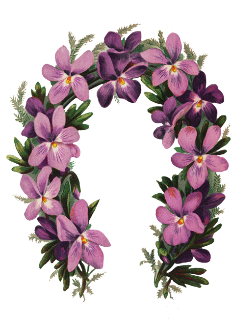 Pin Pink Clip Art Borders - Happy Mothers Day (483x650)