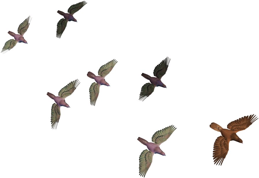 Flying Crows Png - Flock (1024x768)
