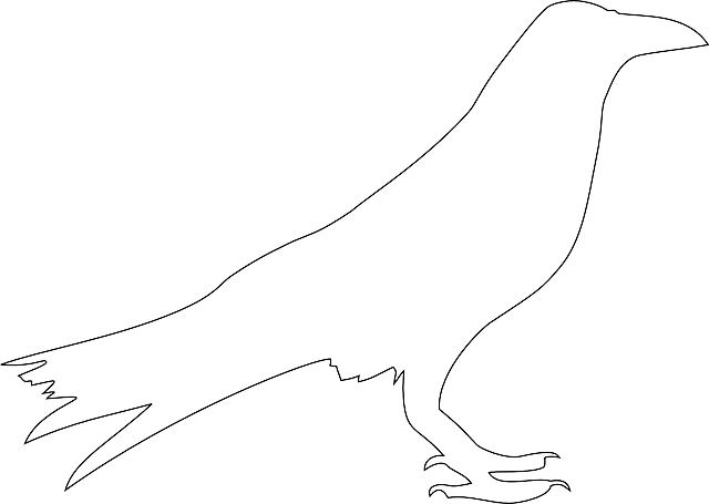 Animals, Outline, Birds, Bird, Crow, Animal, Colouring - Animal Outline Bird (640x455)
