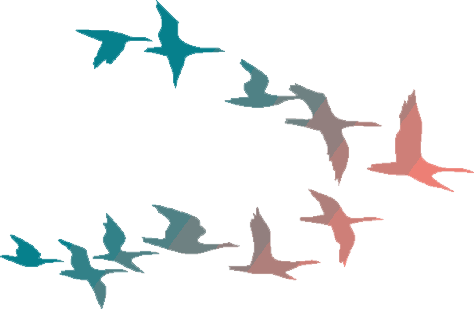 Flying Crows Png Flying Birds Png - Colorful Birds Flying Clipart (474x309)