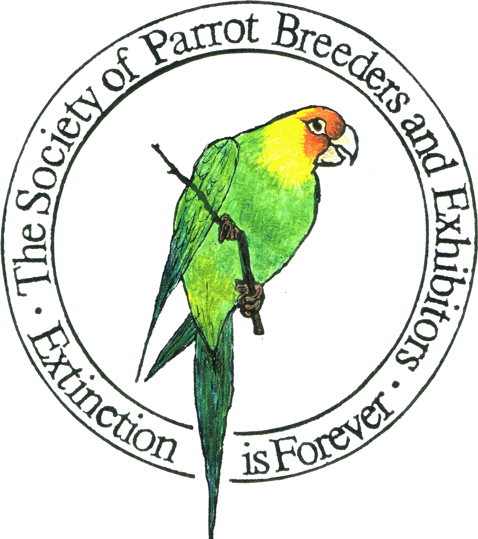 Spbe 2016 Show Calendar - Parakeet (1992x2274)
