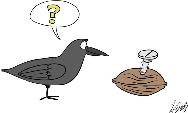 Crows Nuts Bolts - Crows Nuts (800x600)