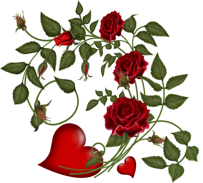 Valentine's Day Flowers - Valentine's Day (818x737)