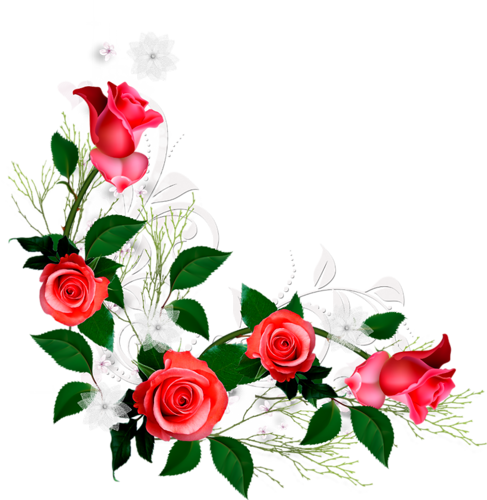 Christine Staniforth ♛༻ - Rosas Vermelhas Png (487x500)