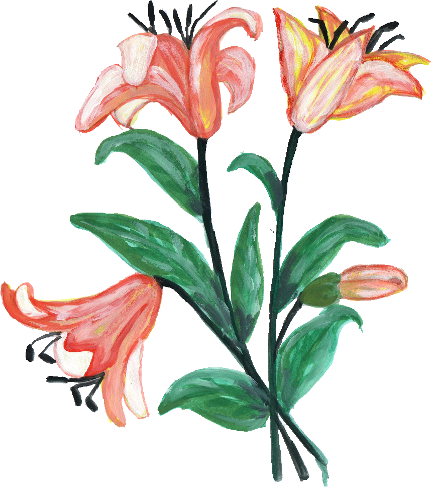 Free Download - Flower (860x969)