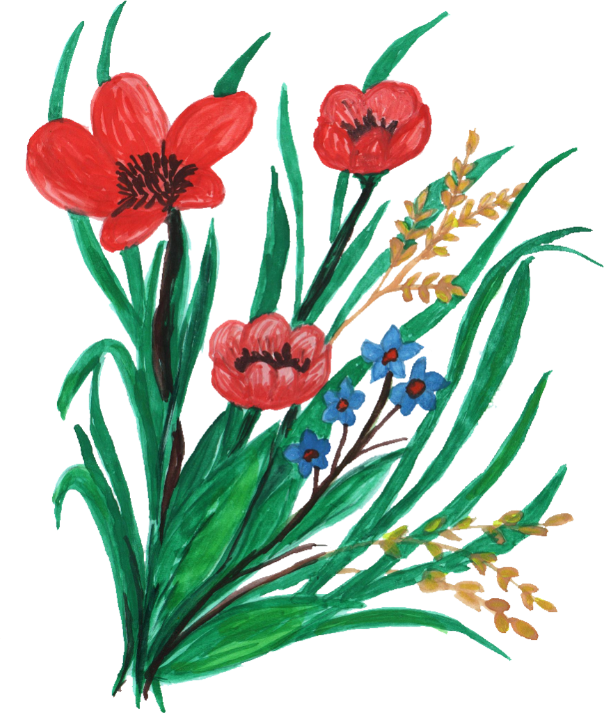 869 × 1025 Px - Anthurium (868x1024)
