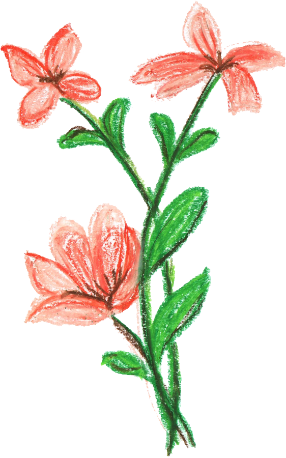 Free Download - Flower Transparent (562x900)
