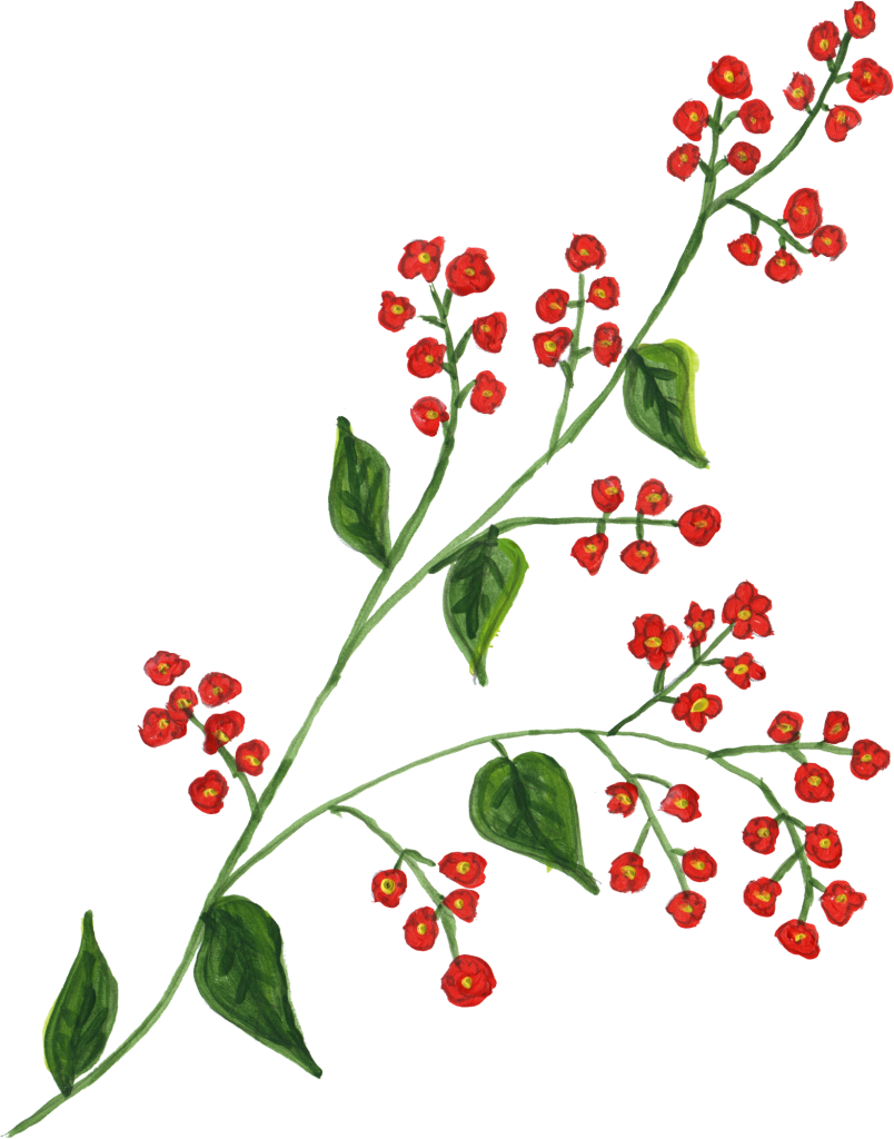 1039 × 1408 Px - Leaf Paint Png (804x1024)