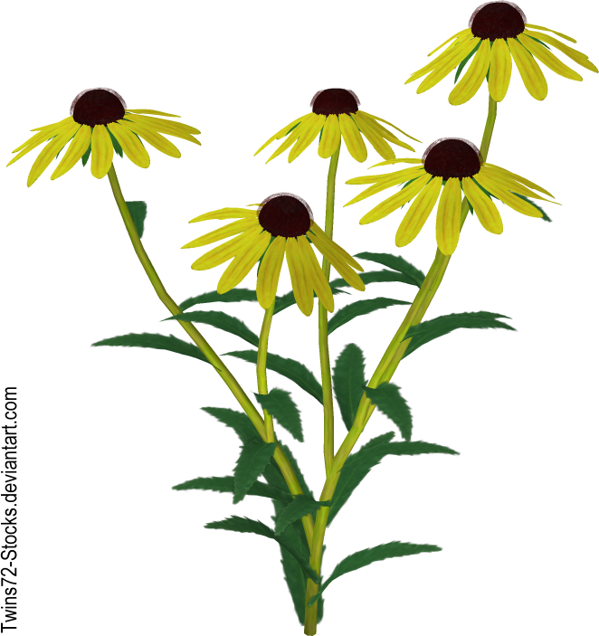 Flower 10 By Twins72-stocks - December 19 (662x703)