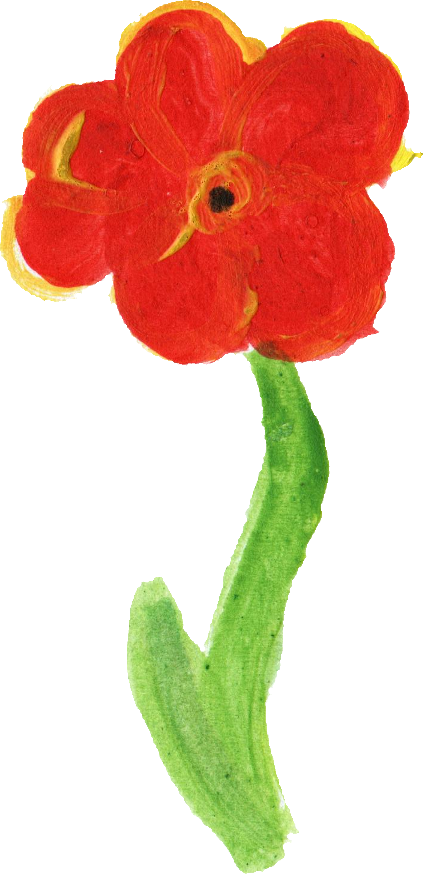 Free Download - Persian Buttercup (423x874)