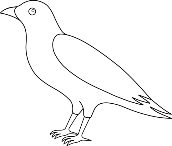 Crow Clip Art - Outline Image Of Crow (550x469)