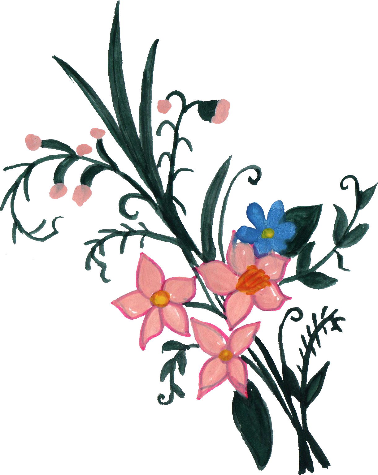 Free Download - Rosa Glauca (1221x1535)