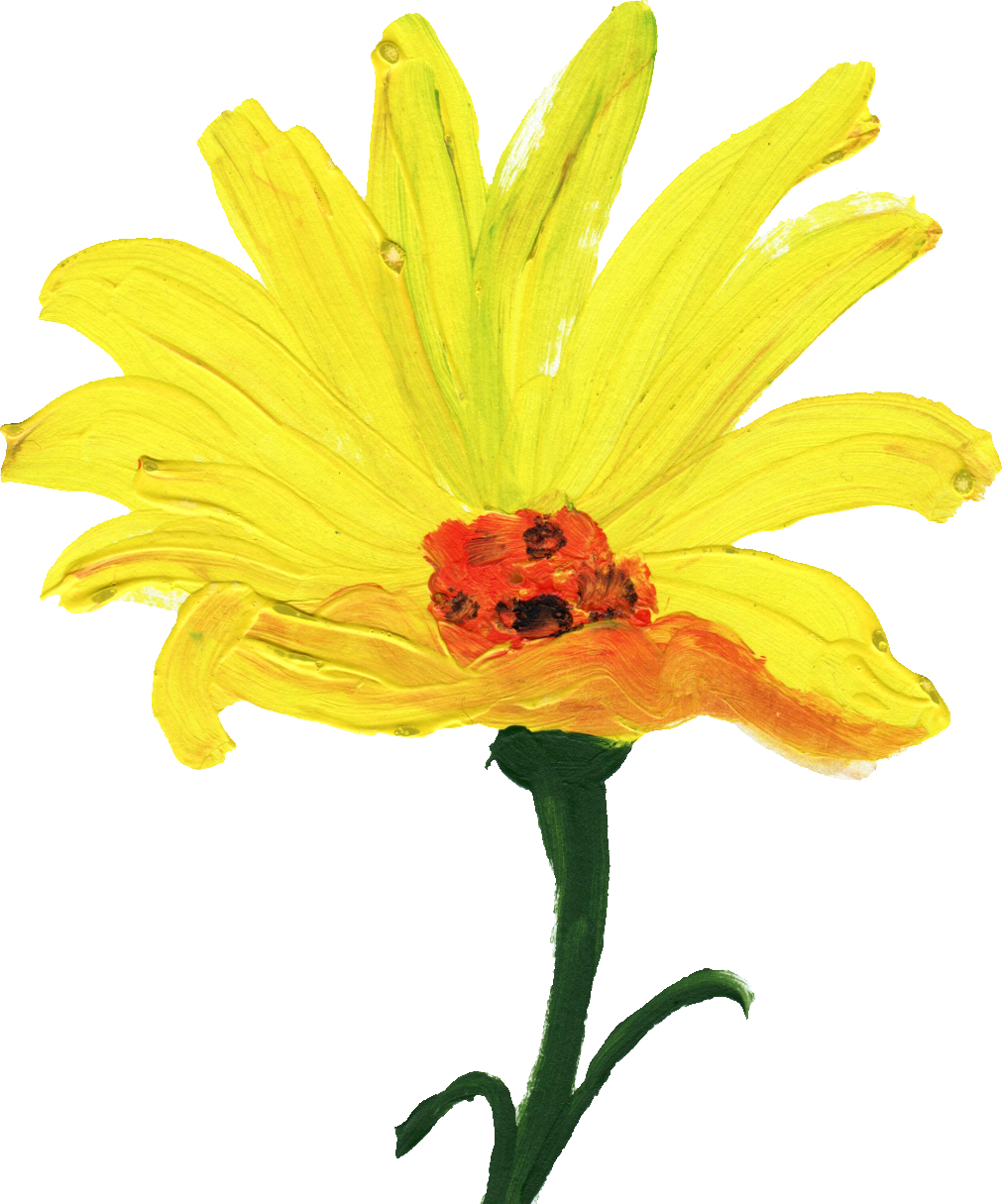 Free Download - Flowers Yellow Paint Png (1011x1215)