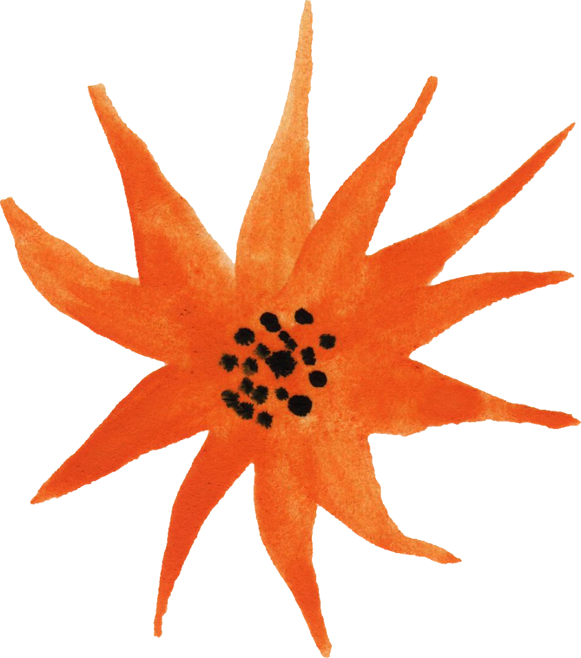 Free Download - Petal (847x960)