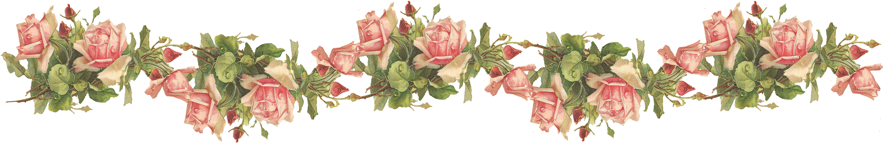 Catherine Klein Pink Roses Digital Elements Wings Of - Transparent Background Roses Border (2823x475)