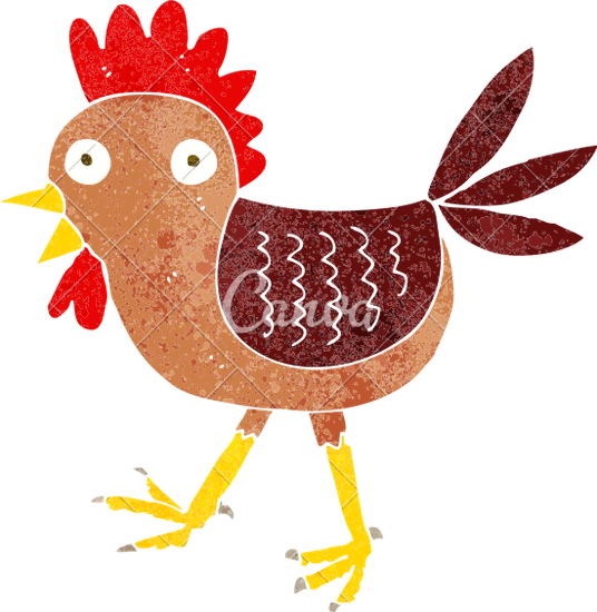 Funny Cartoon Chicken - Chicken (536x550)