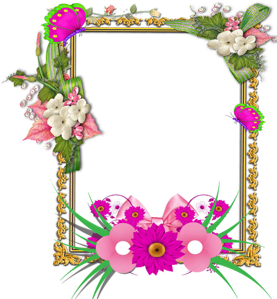 Frame Png By Melissa - Barbie Of Swan Lake (900x1032)