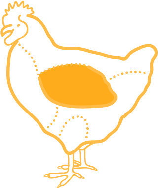 Chicken Wingettes - Transavia (340x380)