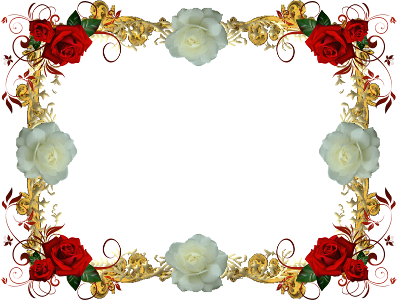 Red And White Rose Frame 3 By Lady1venus On Deviantart - Red Roses Greeting Cards (800x600)
