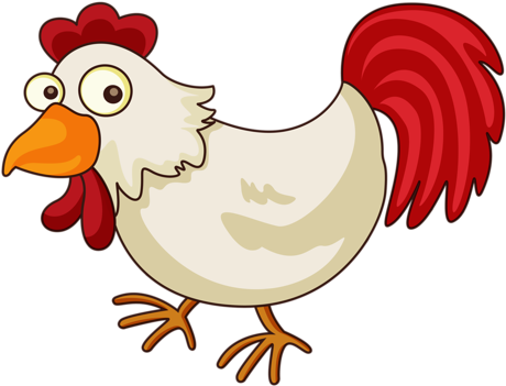 Album - Chicken Cartoon (500x417)