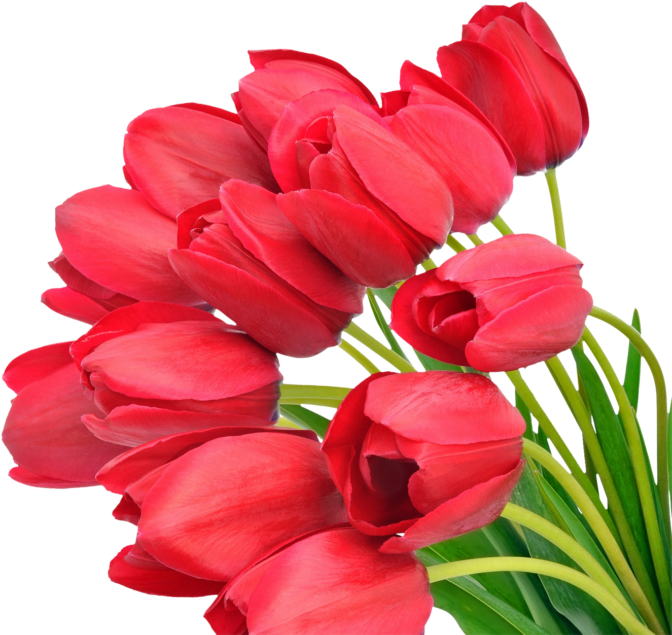 Red Tulip - Hd Bouquets (1330x1285)