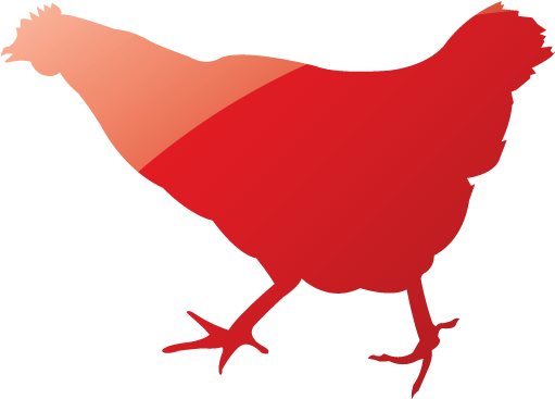 Web 2 Ruby Red Chicken 2 Icon - Chicken (512x512)
