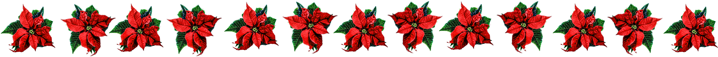 Chrismas Flower Border Clip Art - Floral Design (1476x118)
