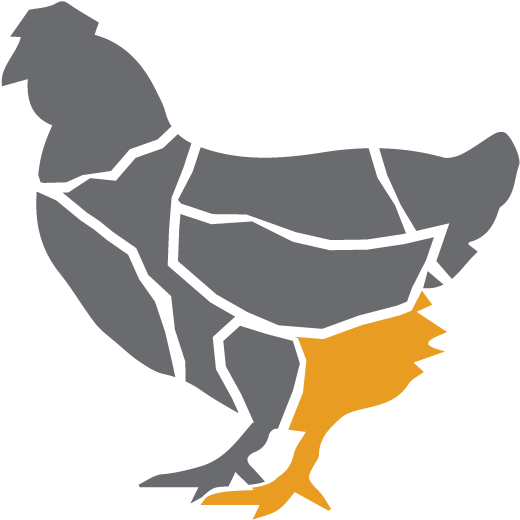 Chicken Thigh - Shadow Images Of Hen (601x601)