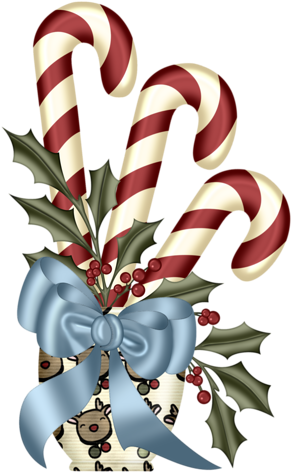 Pps Candy Cane Plant - Christmas Day (315x500)