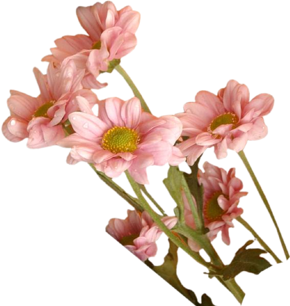 Now You Can Use Cliparts And Objects Direct In Psd - Artificial Flower (600x600)