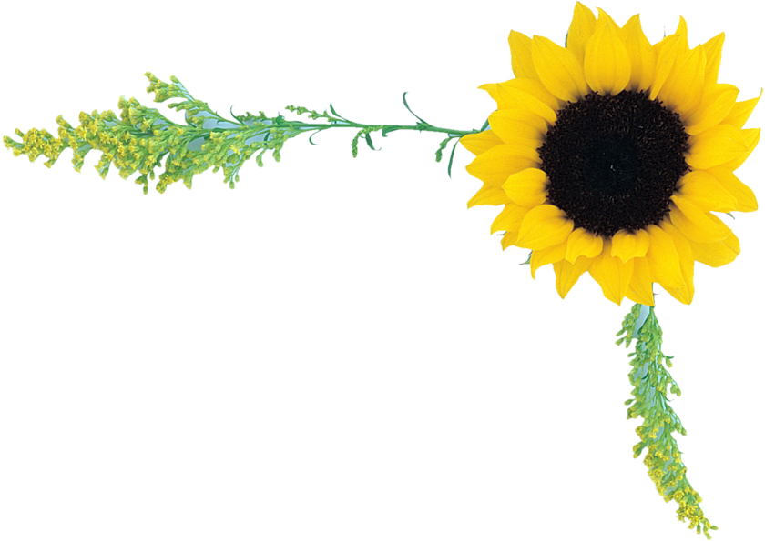 Now You Can Use Cliparts And Objects Direct In Psd - Psd (900x600)