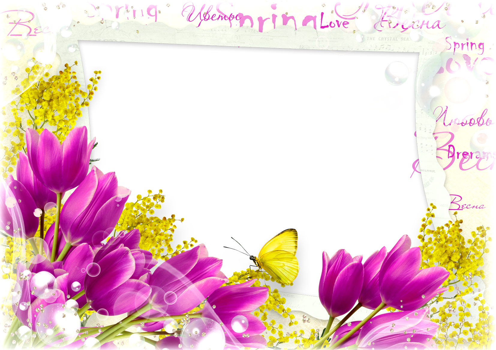Png Flower Frame Twelve - Spring Flowers Frame Png (1654x1169)