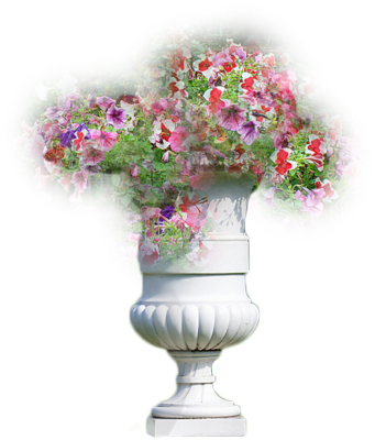 Flower Plants In Pot Png Flower Pot - Flower Pot Png File (341x400)