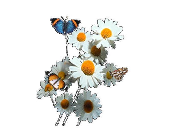 Adobe Photoshop (695x554)